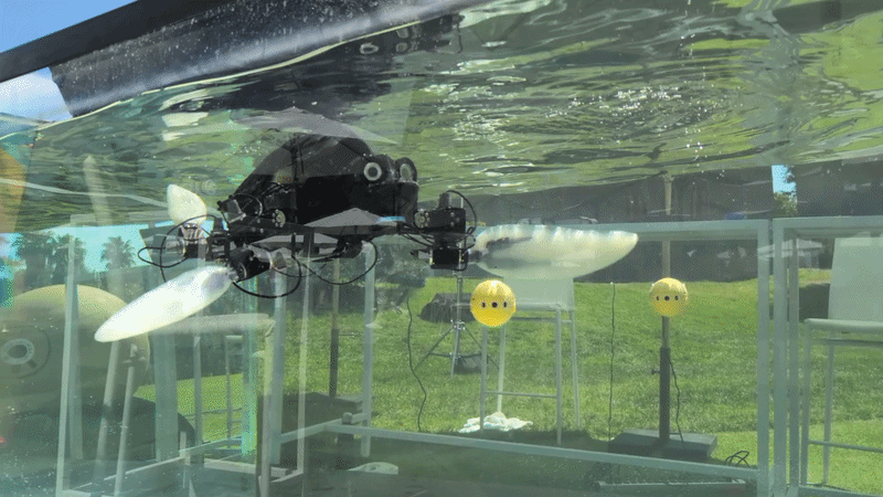Marine Robots