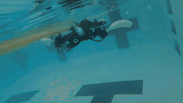 Marine Robots